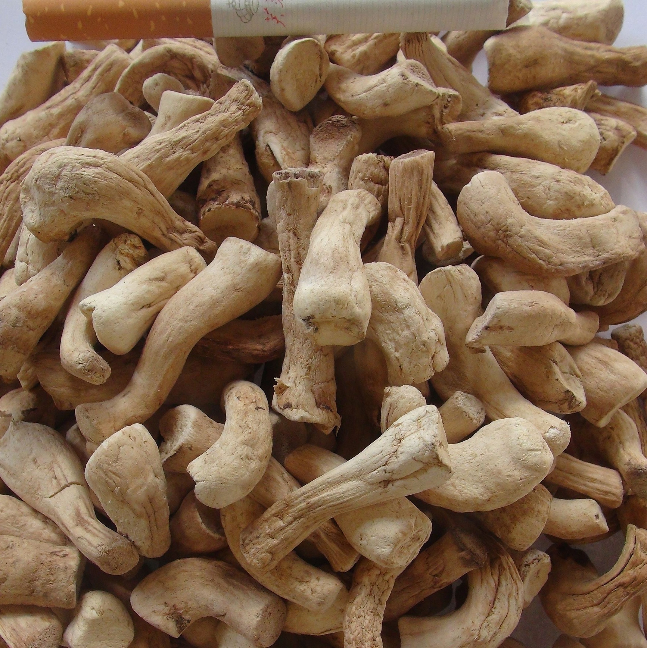 Dried Shiitake Mushroom Stem