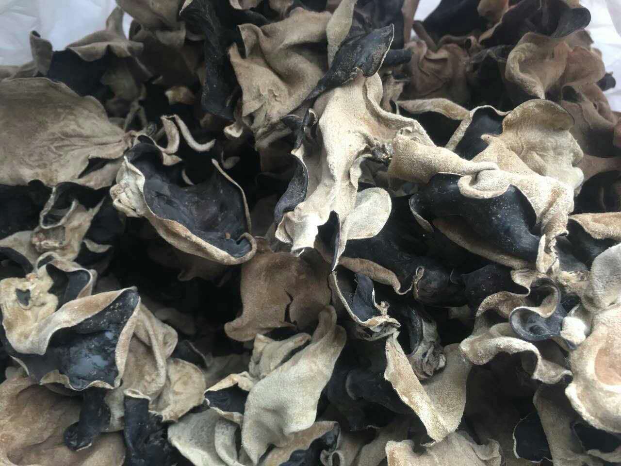 Dried White Back Black Fungus